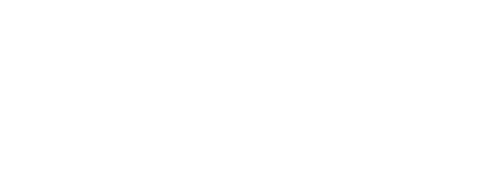 thelocalsocial